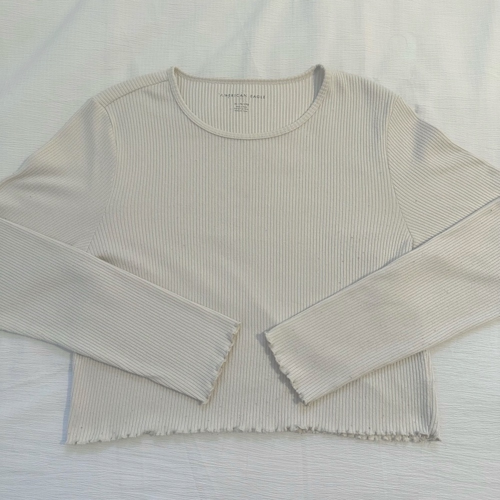 American Eagle Long Sleeve Crop Top